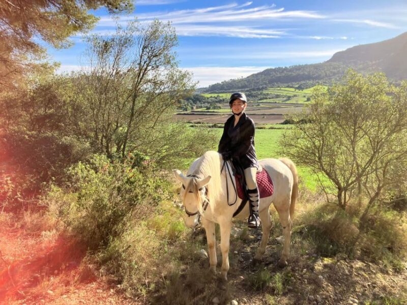 Mallorca: Activity with Horses, Antique Mallorca - Authenticity and the Experience Itself