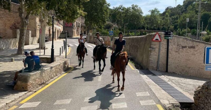 Mallorca: Activity with Horses, Antique Mallorca - Who Is This Best For?