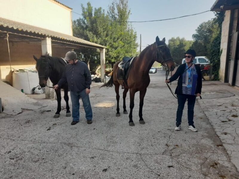 Mallorca: Activity with Horses, Antique Mallorca - FAQs