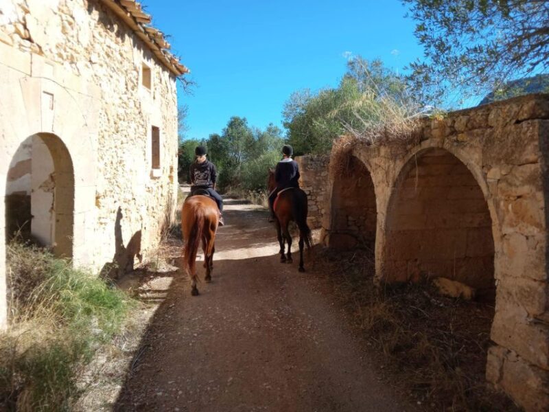 Mallorca: Activity with Horses, Antique Mallorca - Final Thoughts
