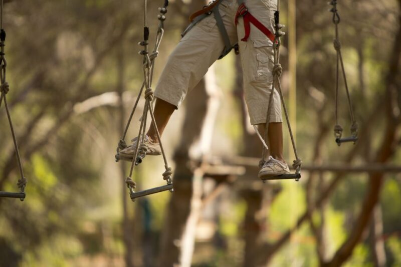 Mallorca: Adrenaline Tree Top Adventure Entry Ticket - Key Points