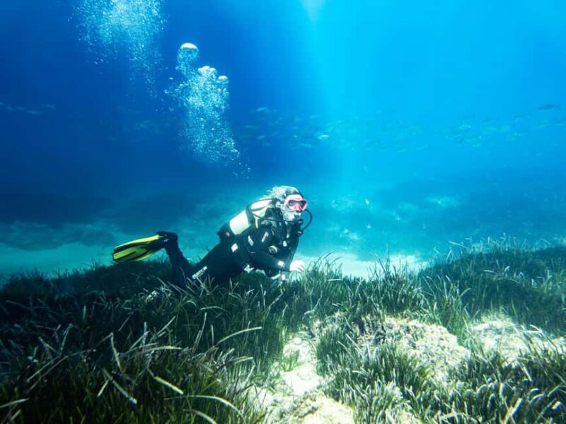 Mallorca: Adventure Diving (without a license - in the quiet off-season) - Who Is This Tour Best For?