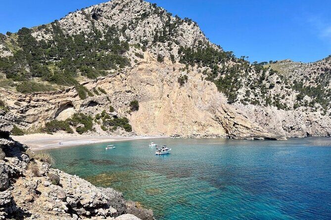 Mallorca Alcanada Island 3hr Cruise inc Drinks, Snorkelling & SUP - Key Points