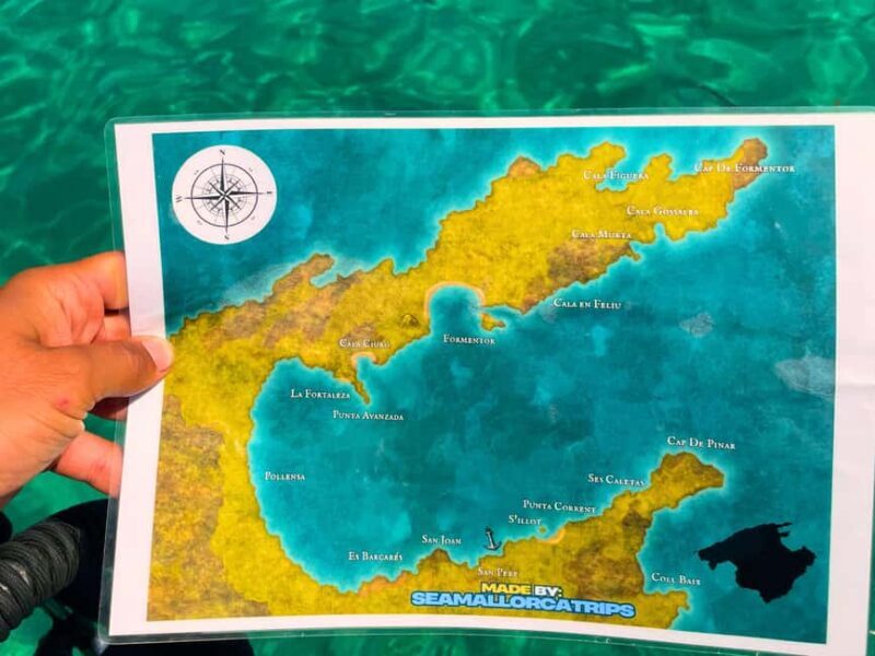 Mallorca: Alcudia, Private Boat Tour to Formentor & Pollensa - Key Points