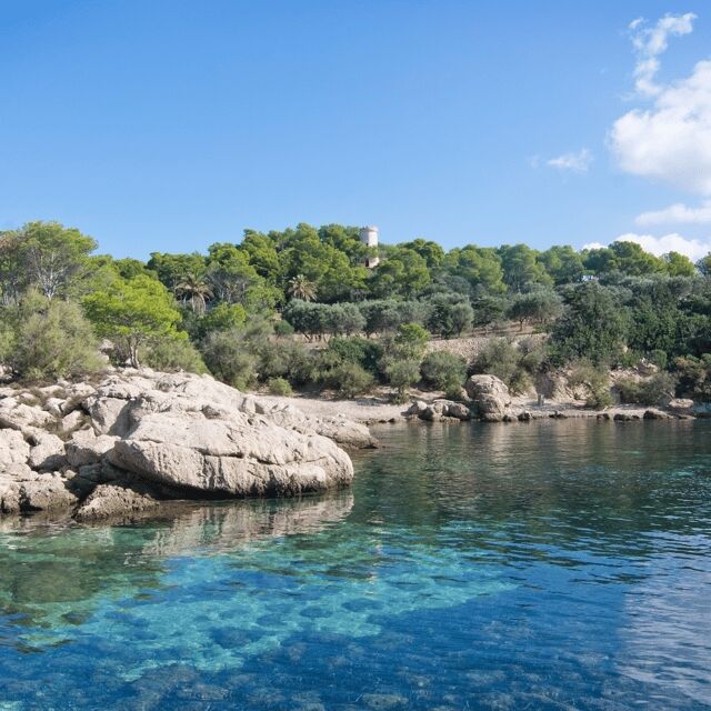 Mallorca: Boat Transfer between Port Andratx and Sant Elm - Key Points