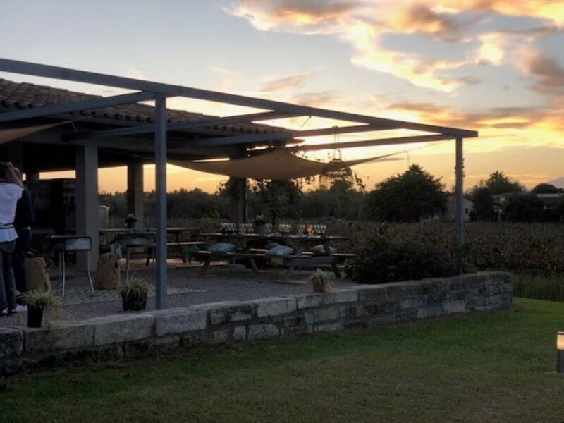 Mallorca: Bodega Butxet Vineyards & Winery Tour with Tasting - Final Thoughts