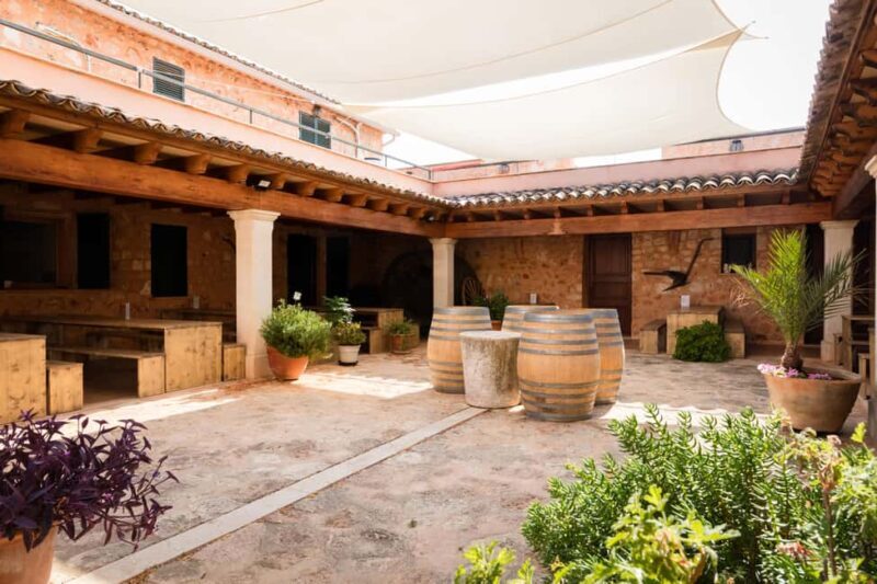Mallorca: Bodegas Ángel Winery Tour with Wine Tasting - What to Expect From the Tour