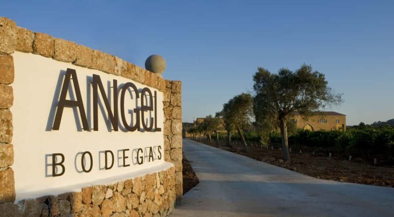 Mallorca: Bodegas Ángel Winery Tour with Wine Tasting - Pricing and Value
