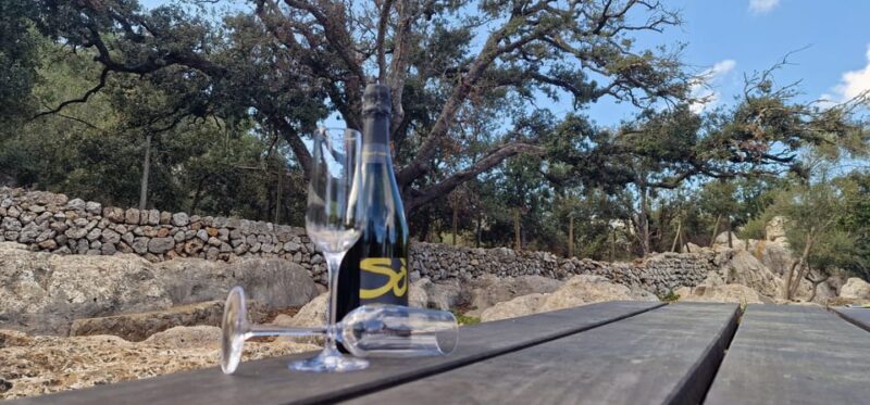 Mallorca: Cap & Cava - Minibus Tour to Formentor - GERMAN - Key Points