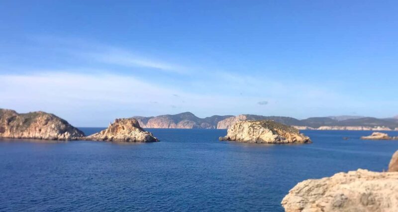 Mallorca: Coastal Cruise to Port of Andratx with swim stop - Food, Drinks, and Onboard Comfort