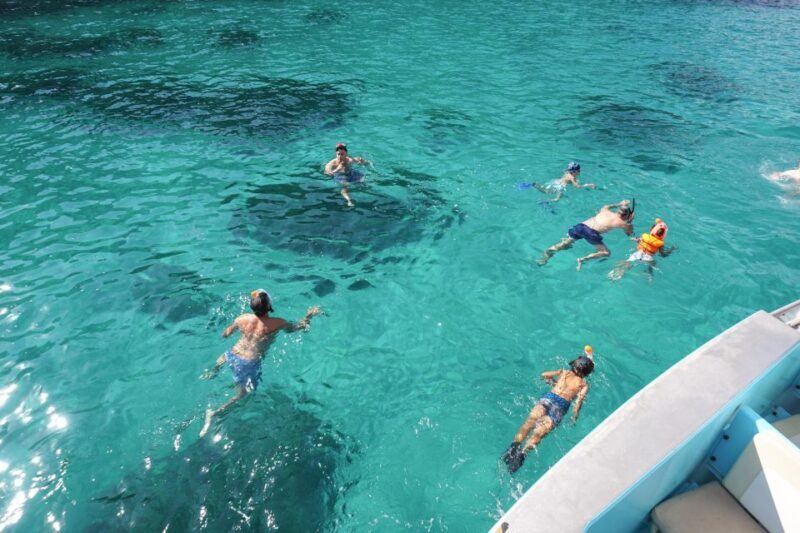 Mallorca: Coastal Cruise to Port of Andratx with swim stop - The Overall Experience: What Travelers Say