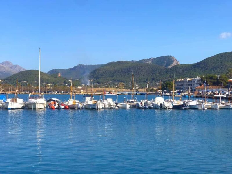 Mallorca: Coastal Cruise to Port of Andratx with swim stop - Practical Details for Your Trip