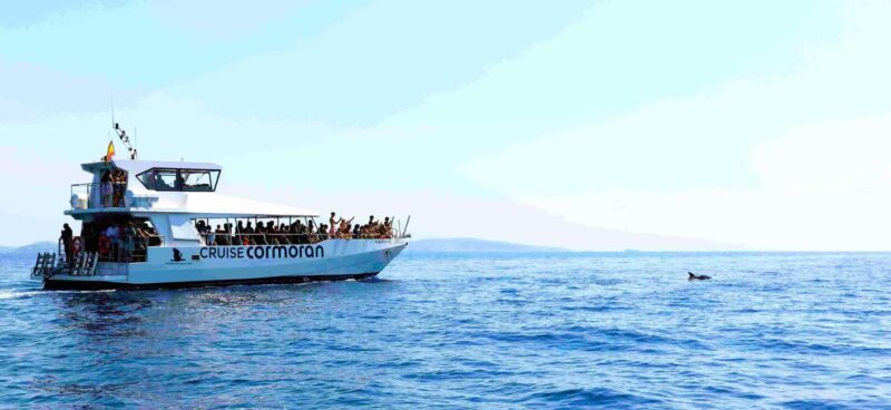 Mallorca: Coastal Cruise to Port of Andratx with swim stop - Who Should Consider This Tour?