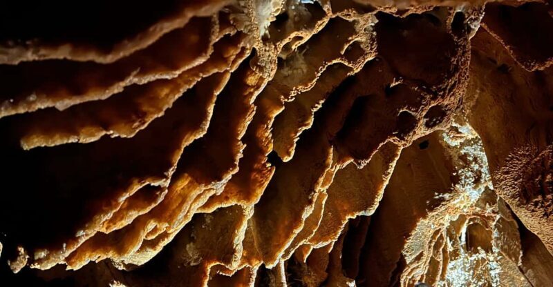 Mallorca: Cova de Sa Campana Rappelling Adventure - What People Are Saying