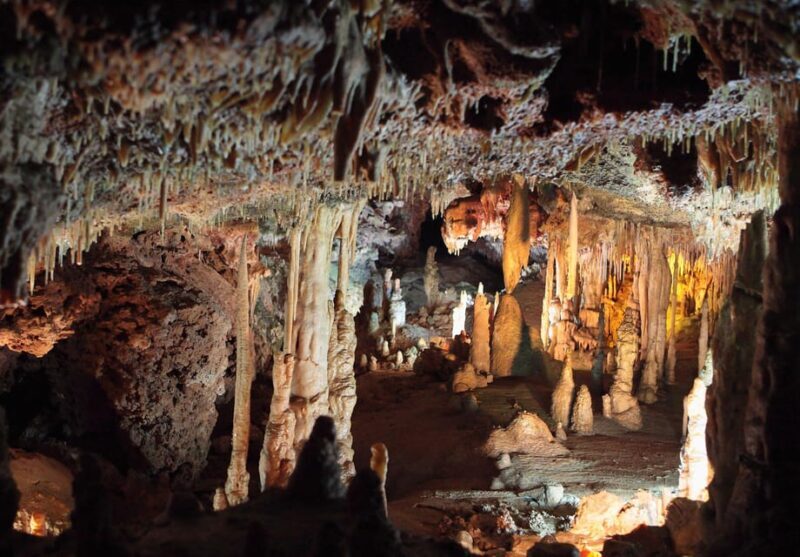 Mallorca: Drach and Hams Caves, and Porto Cristo Day Tour - Who Should Consider This Tour?