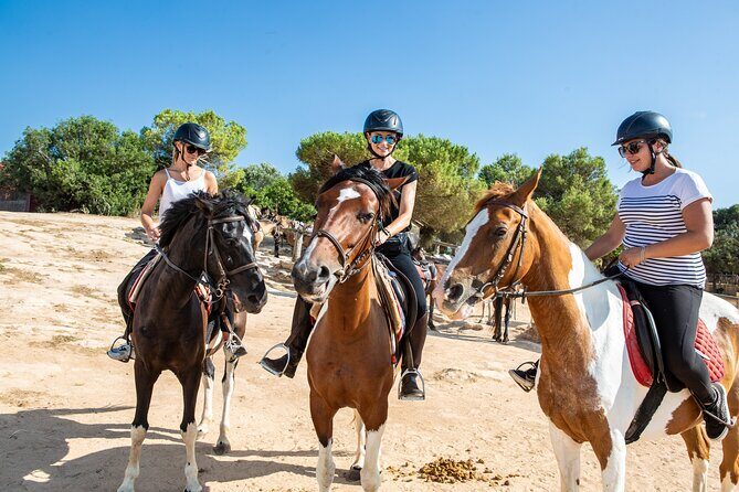 Mallorca Evening Tour: Horseback Riding, Dinner and Dance - Who Will Love This Experience?