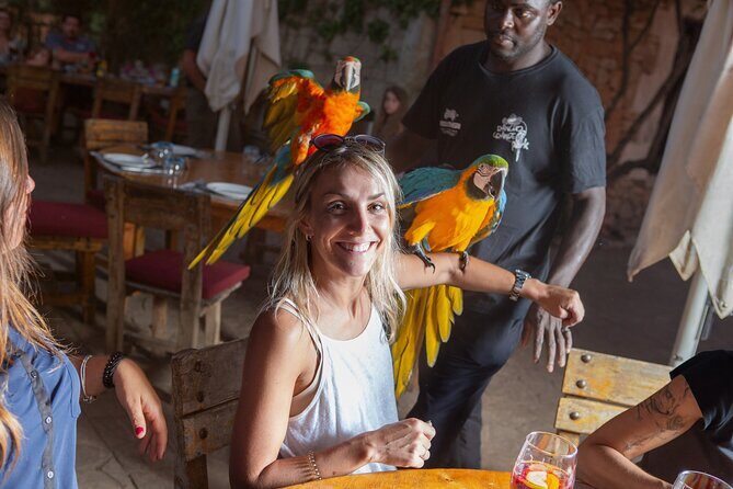 Mallorca Evening Tour: Horseback Riding, Dinner and Dance - FAQs