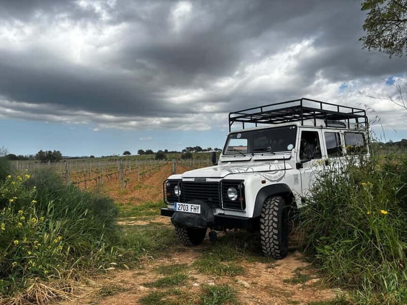 Mallorca: Exclusive wine tour with breakfast, wine tasting, and paella - An Introduction to the Experience