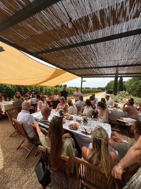 Mallorca: Exclusive wine tour with breakfast, wine tasting, and paella - Practical Details that Matter