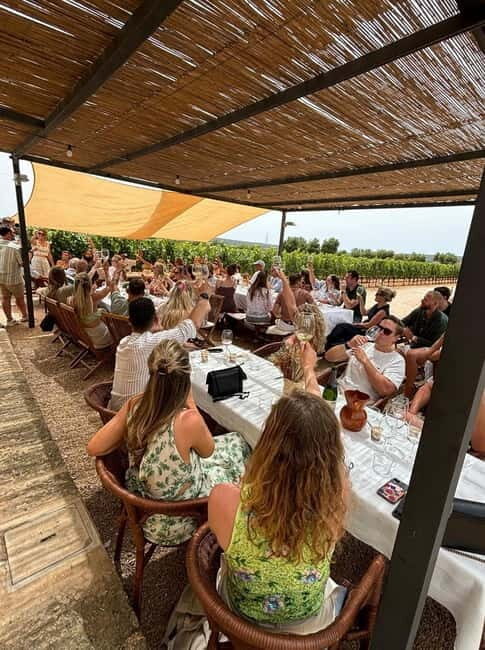 Mallorca: Exclusive wine tour with breakfast, wine tasting, and paella - Frequently Asked Questions