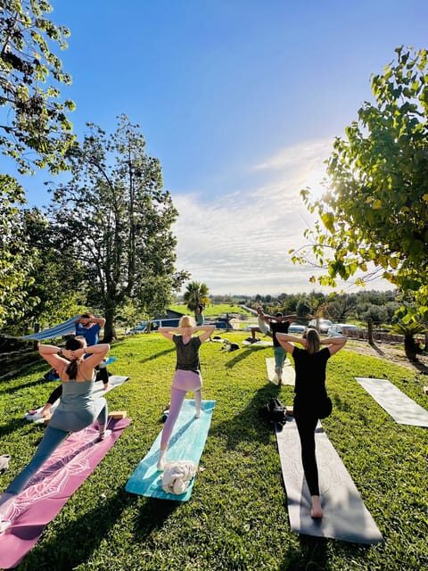 Mallorca: Holistic Private Yoga and Meditation Retreat - Key Points