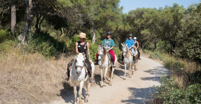 Mallorca: Horseback Riding Excursion and Wine Tasting - Key Points