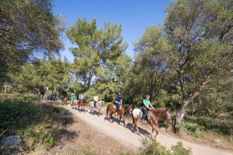 Mallorca: Horseback Riding Excursion and Wine Tasting - Group Size, Duration, and Convenience