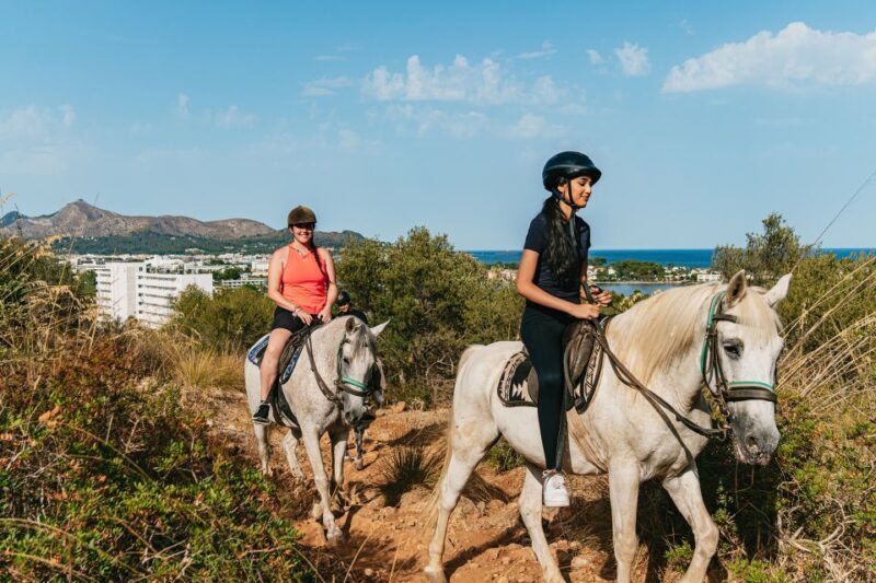 Mallorca: Horseback Riding Experience with Food Options - An In-Depth Look at the Experience