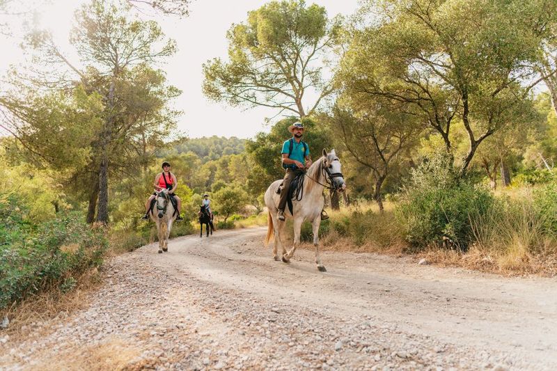 Mallorca: Horseback Riding Experience with Food Options - How the pace works: walk, trot, and optional galop/gallop
