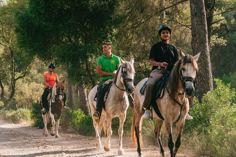 Mallorca: Horseback Riding Experience with Food Options - Horses you can trust: calm mounts and careful handling