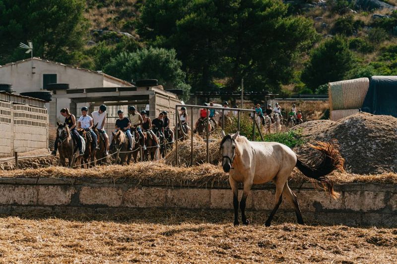 Mallorca: Horseback Riding Experience with Food Options - Photos on horseback: a souvenir you can buy at the end