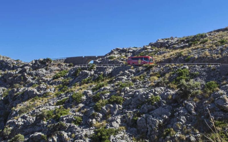 Mallorca Island Tour with Boat, Train, Tram and Bus - Key Points