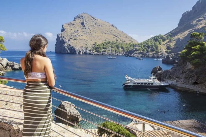 Mallorca Island Tour with Boat, Train, Tram and Bus - Authentic Feedback from Travelers