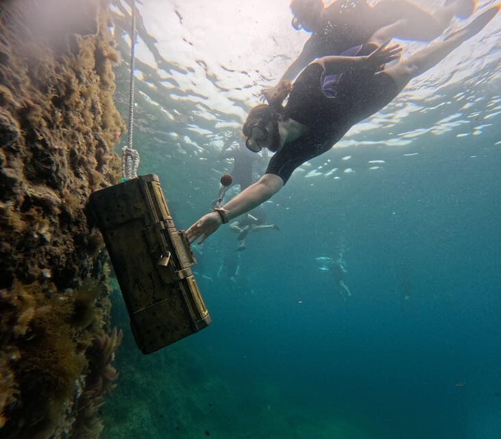 Mallorca: Kayaking, Sea Cave, Cliff Jumping & Snorkel Tour - Final Thoughts