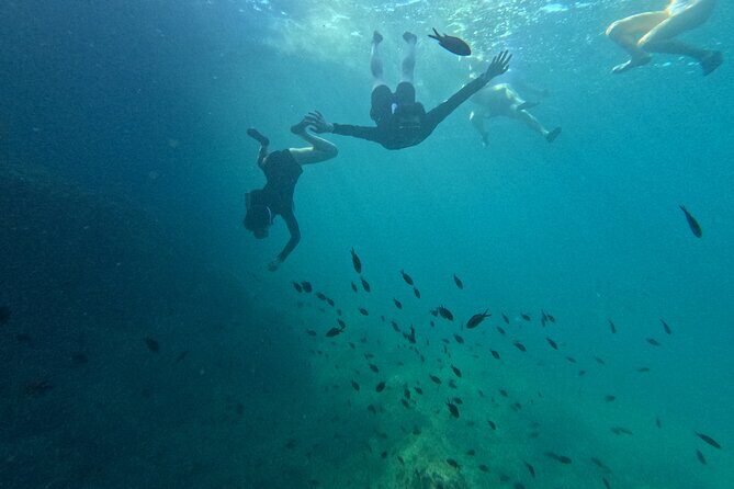 Mallorca: Kayaking, Sea Cave, Cliff Jumping & Snorkel Tour - FAQ