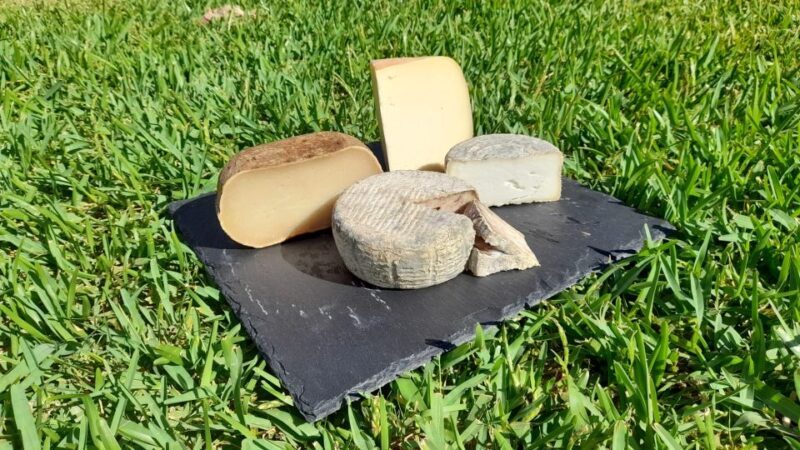 Mallorca: Local Wines & Foods Tasting - An In-Depth Look at the Mallorca Local Wines & Foods Tasting