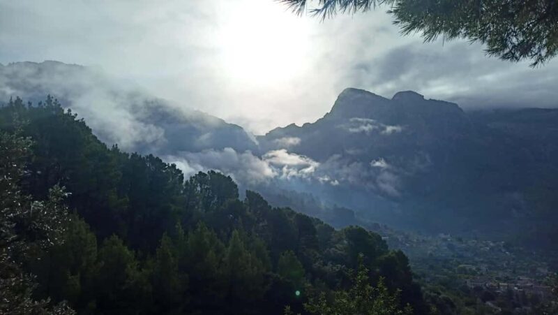 Mallorca: Paella Cooking Class in the Tramuntana Mountains - Key Points