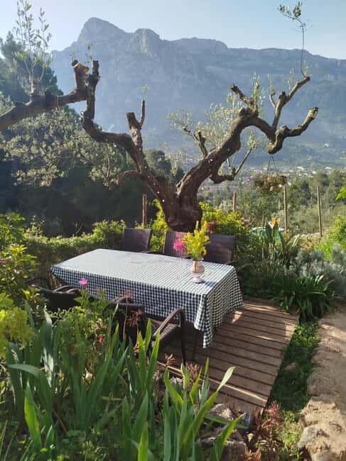 Mallorca: Paella Cooking Class in the Tramuntana Mountains - FAQ