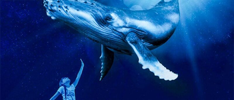 Mallorca: Palma Aquarium Entry Ticket w/ Optional 3D Cinema - Interactive and Family-Friendly Features