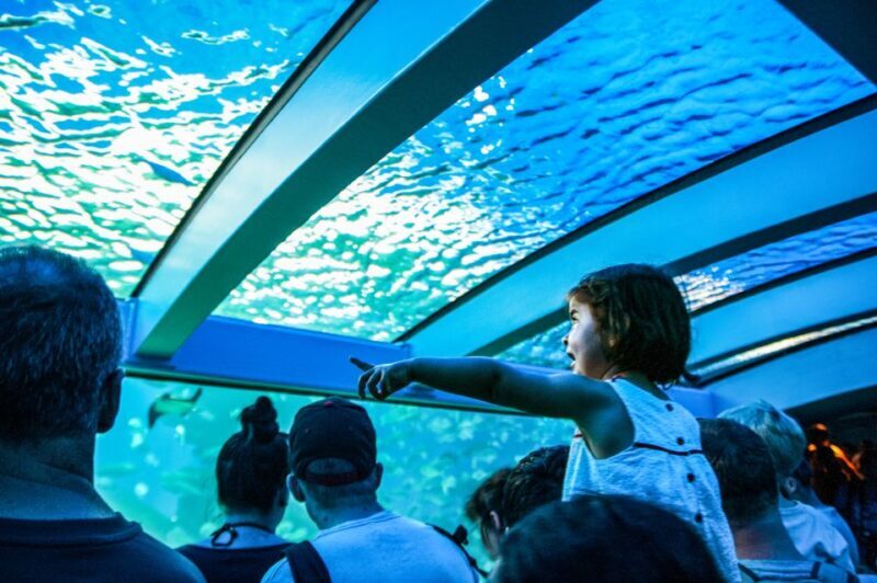 Mallorca: Palma Aquarium Entry Ticket w/ Optional 3D Cinema - Practical Info: Planning Your Visit