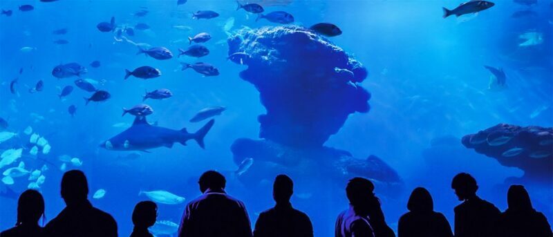 Mallorca: Palma Aquarium Entry Ticket w/ Optional 3D Cinema - Who Should Visit Palma Aquarium?