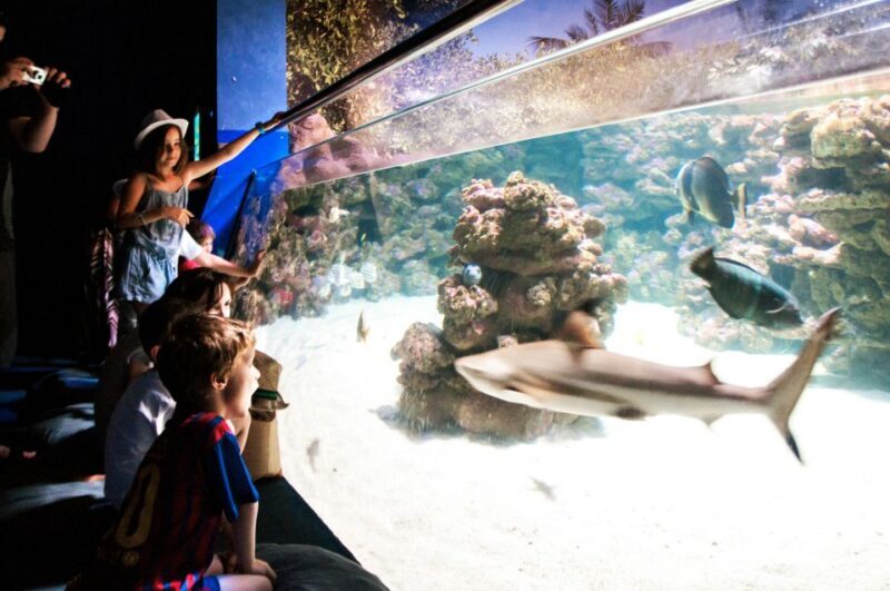 Mallorca: Palma Aquarium Entry Ticket w/ Optional 3D Cinema - FAQ