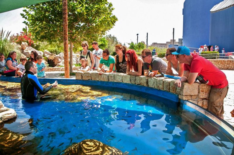 Mallorca: Palma Aquarium Entry Ticket w/ Optional 3D Cinema - Aquadome 3D Cinema: The Optional Whale Virtual Experience