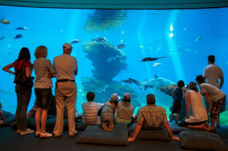 Mallorca: Palma Aquarium with Transfers, Guide & Fast Entry - Key Points