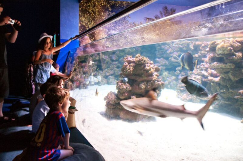 Mallorca: Palma Aquarium with Transfers, Guide & Fast Entry - An In-Depth Look at the Tour Experience