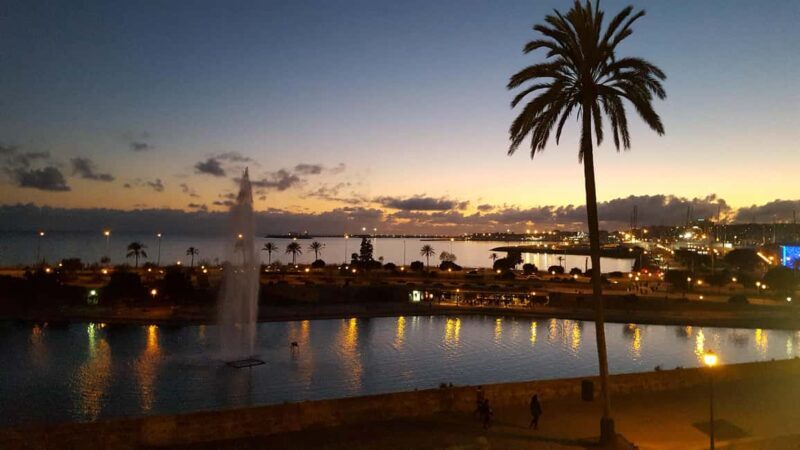 Mallorca: Palmas Winter Magic City Walk with Christmas Glow - What Makes This Tour Special?