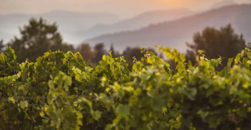 Mallorca: Palmas Winter Magic City Walk with Christmas Glow - FAQ