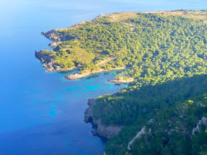 Mallorca: Private Boat Trip to Alcudia, Pollensa & Formentor - Final Thoughts