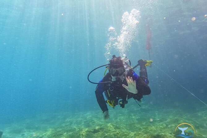 Mallorca PRIVATE Reservation*Scuba dive + photo/video - Who Is This Tour Best Suited For?