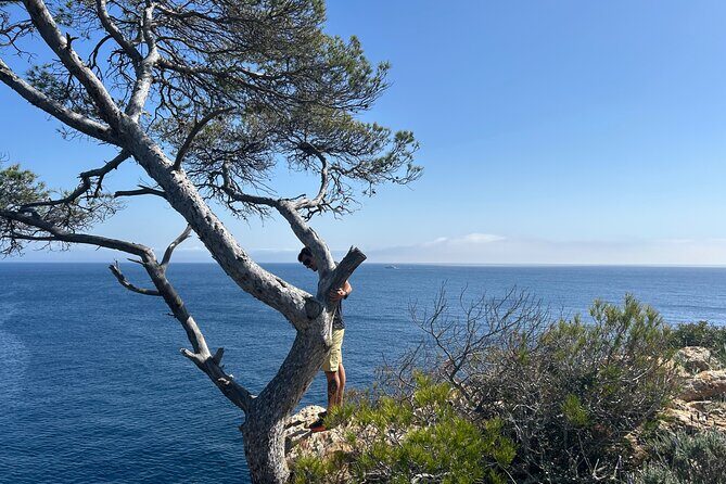 Mallorca Secret Coves Land Rover Private Tour - An Honest Look at the Mallorca Secret Coves Land Rover Tour